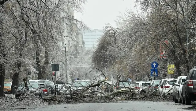 Cum procedam in caz de daune provocate de vreme rea?